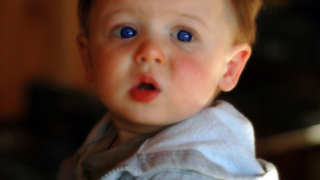 Difficult Pregnancy? It's A Boy... Or A Girl
